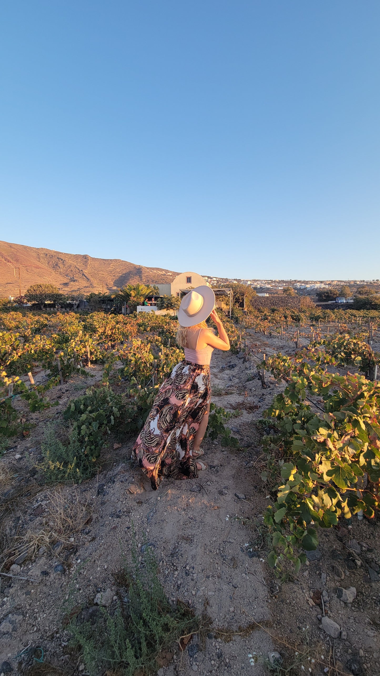 Black, Pink, and Brown Multi-Color High-Low Short Set